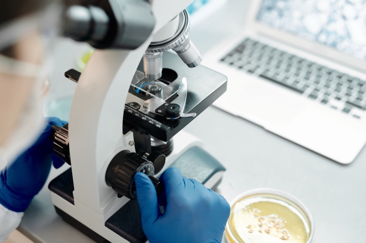 A laboratory scientist examining antibiotic-resistant bacteria under a microscope.