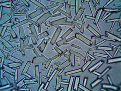 Metformin: First-Line Defense for Type 2 Diabetes Management